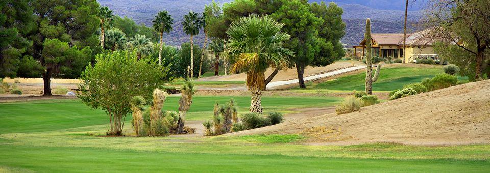 Wickenburg Country Club - photo 8