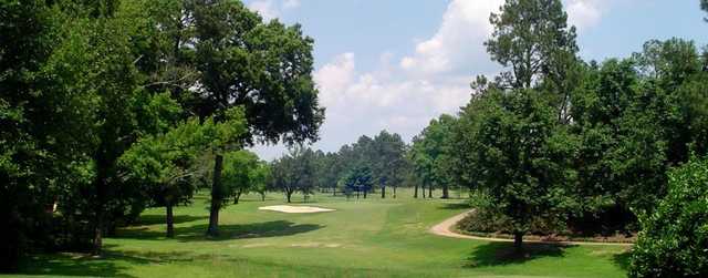 Cherokee Pines - photo 3