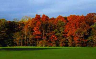 Oak Ridge Golf Course - photo 3