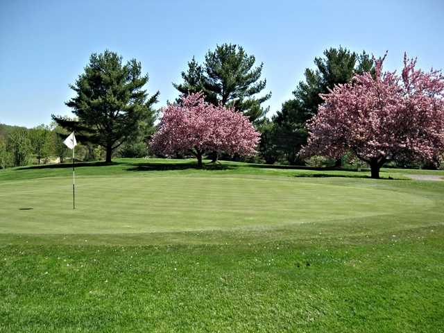 Twin Brooks Country Club - photo 1