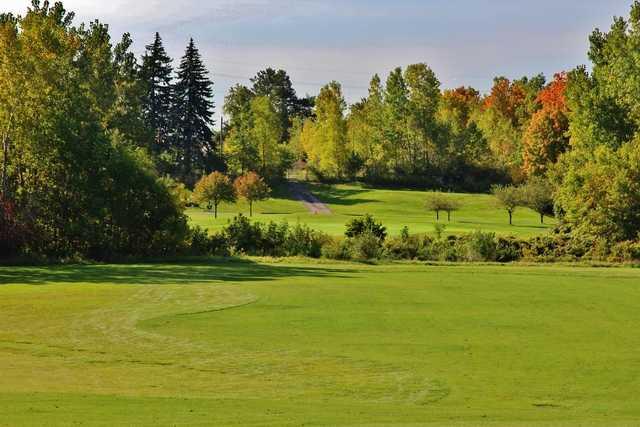 Inkster Valley Golf Course - photo 4
