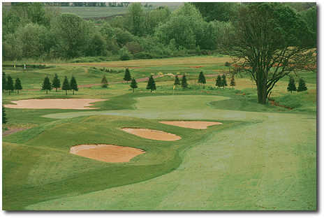 Diamond Woods - photo 3