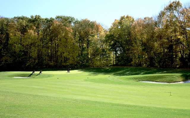 Innisbrook Golf Course - photo 5