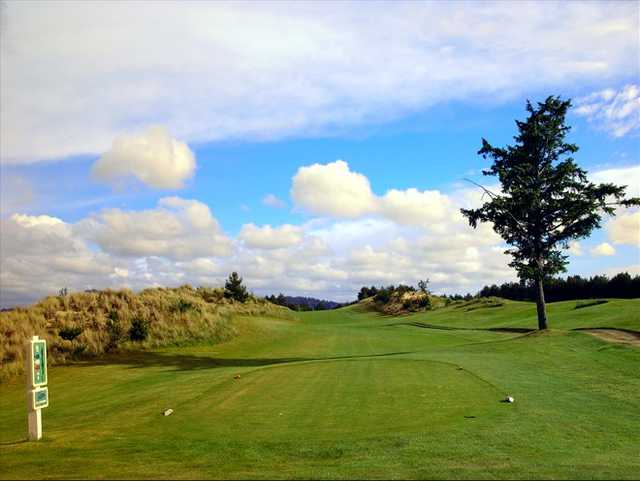 Ocean Dunes Golf Links - photo 4