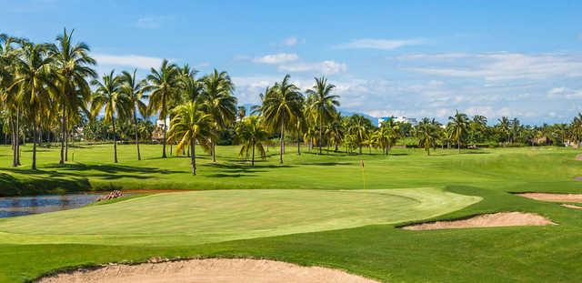 Marina Vallarta Golf Course - photo 4